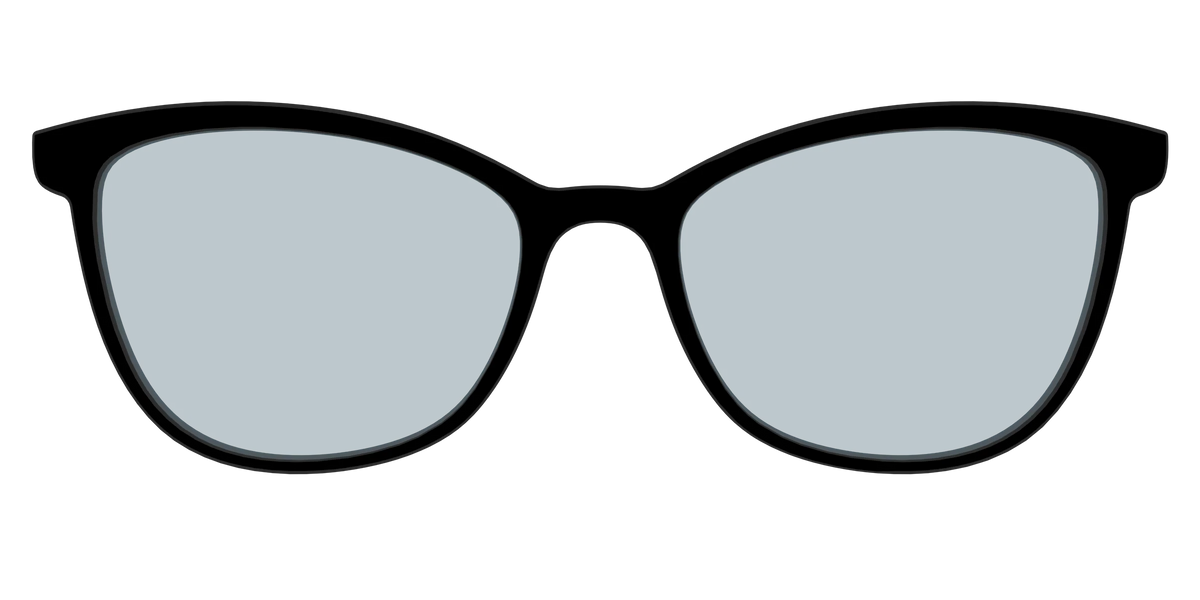 The Black With Slate Blue Lens
