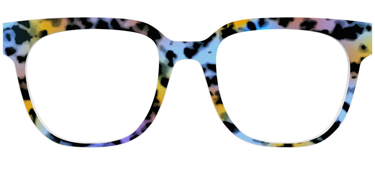 The Positano Tortoise