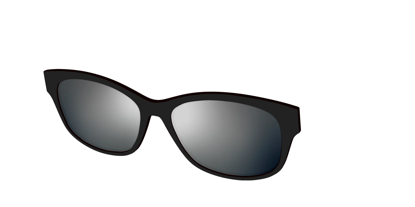 The Polarized Silver Reflective Sun Top
