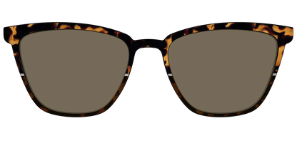 The Polarized Chic Tortoise Split Sun Top