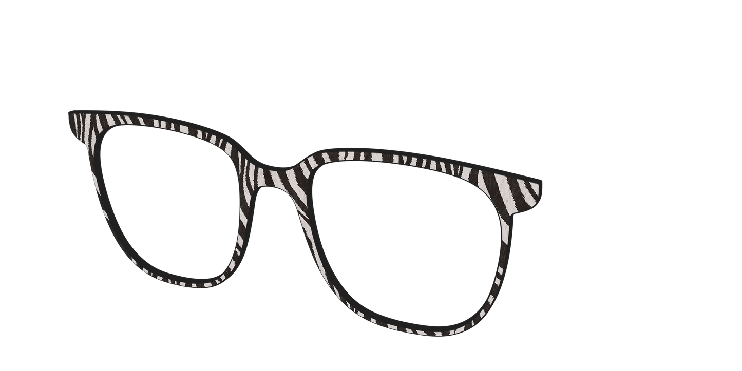 The Zebra Stripes