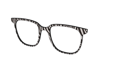 The Zebra Stripes