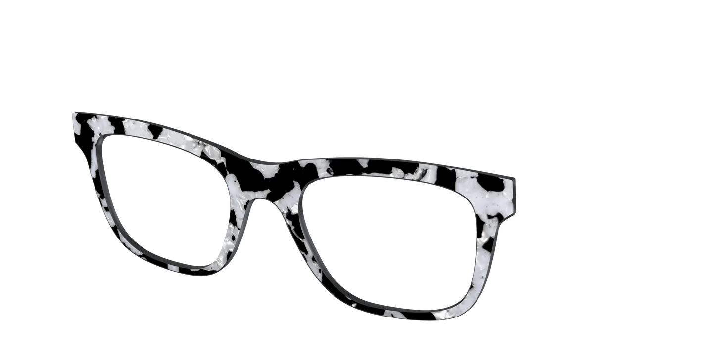 The Black & White Pearl Tortoise