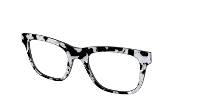 The Black & White Pearl Tortoise