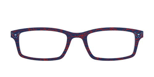 The Capitals® Ice