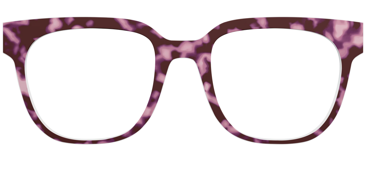 The Maroon Tortoise