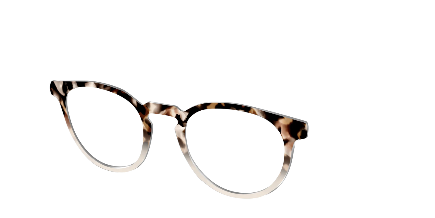 The Vanilla Latte Tortoise