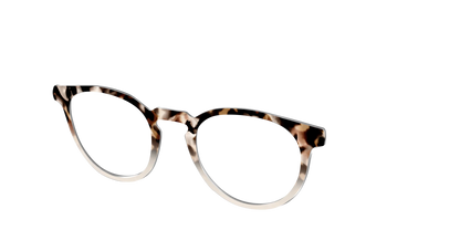The Vanilla Latte Tortoise