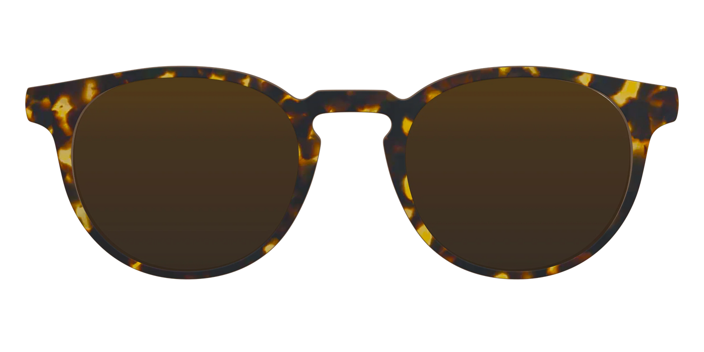 The Polarized Tortoise Sun Top