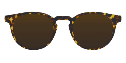 The Polarized Tortoise Sun Top