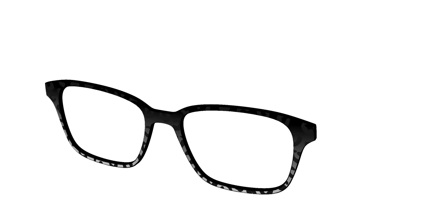 The Black Cheetah