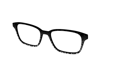 The Black Cheetah