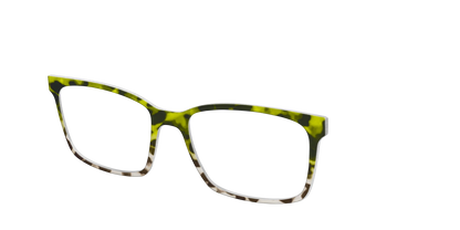 The Avocado to Ivory Tortoise