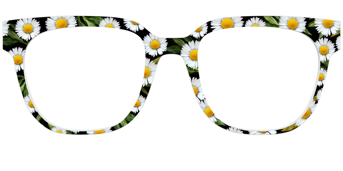 The Delicate Daisies