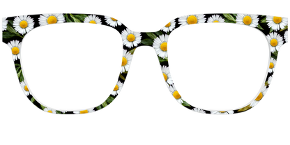 The Delicate Daisies