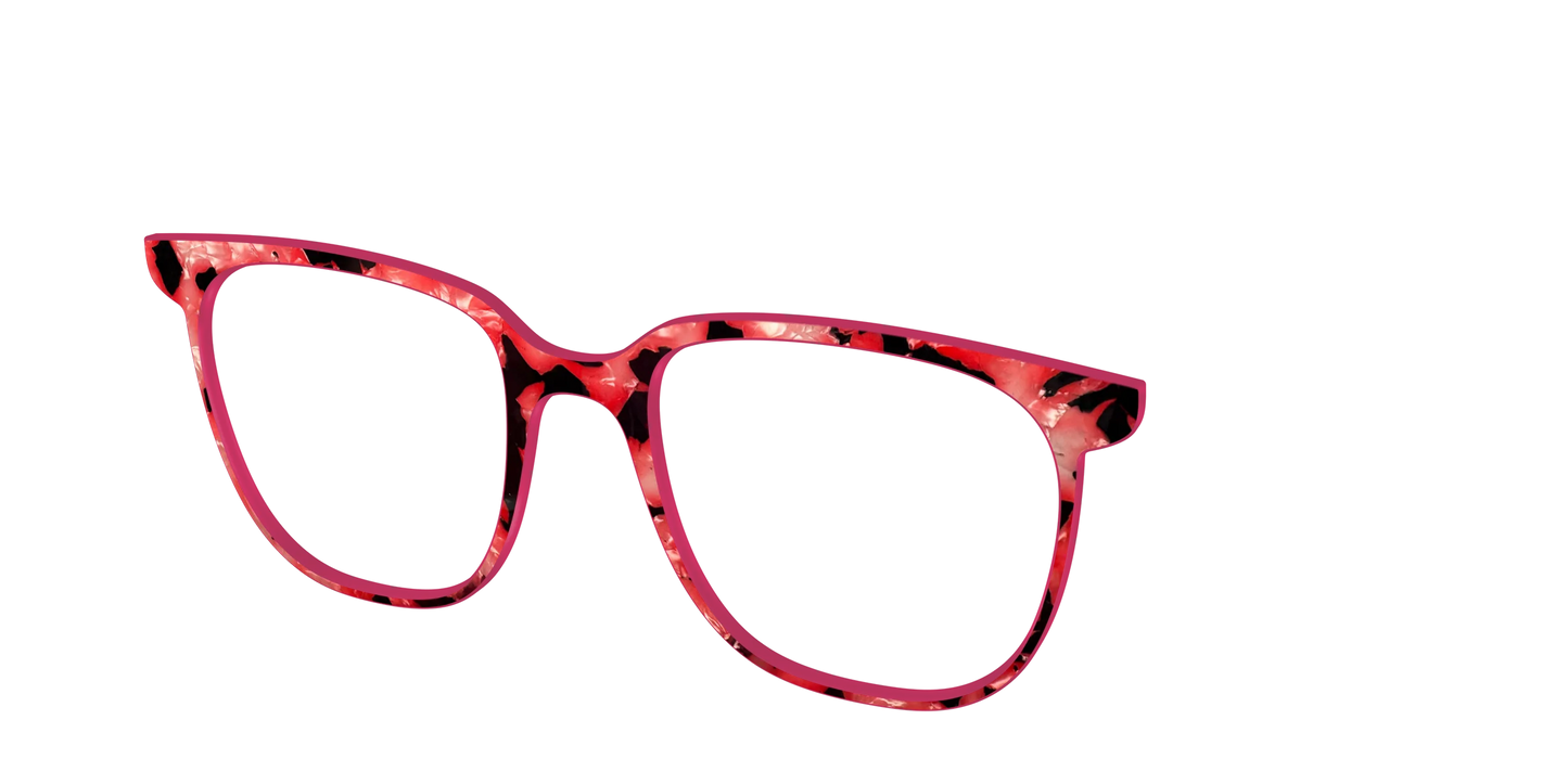 The Red Agate Pearl Tortoise