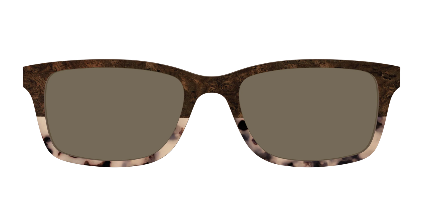 The Polarized Dark Oak Tortoise Split Sun Top