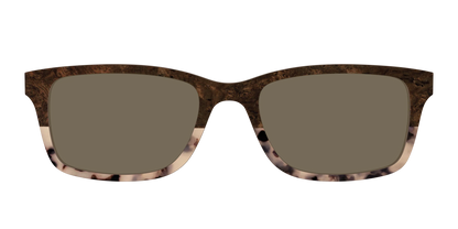 The Polarized Dark Oak Tortoise Split Sun Top