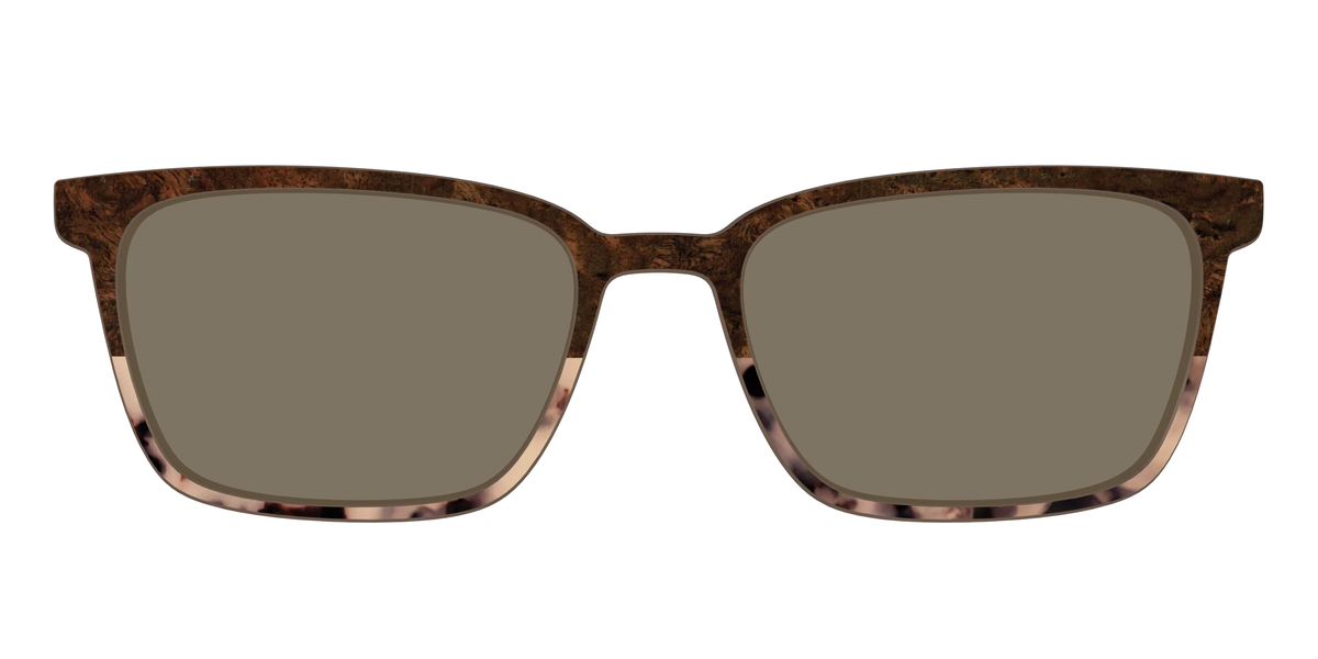 The Polarized Dark Oak Tortoise Split Sun Top