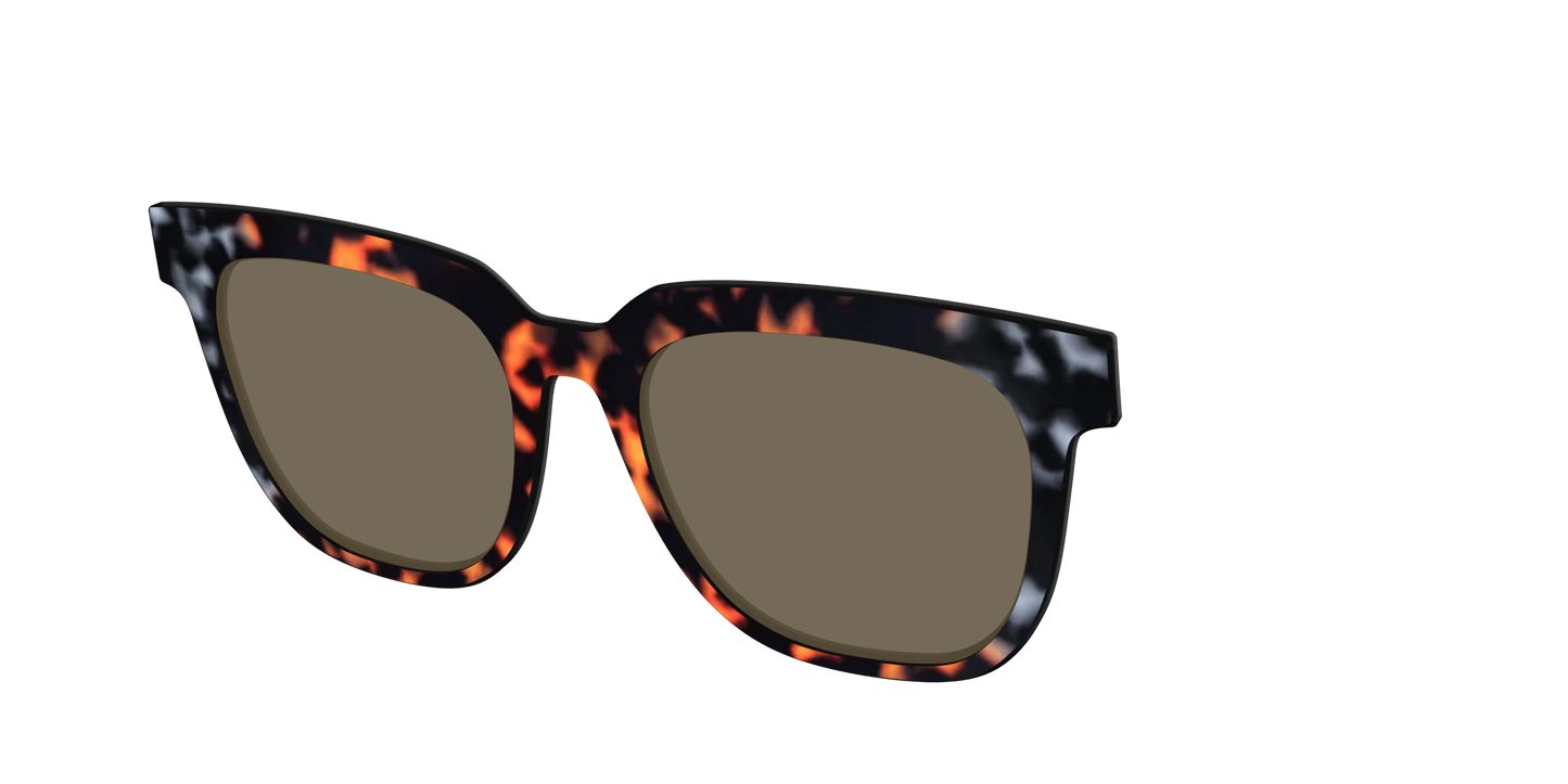 The Polarized Gray & Amber Tortoise Sun Top