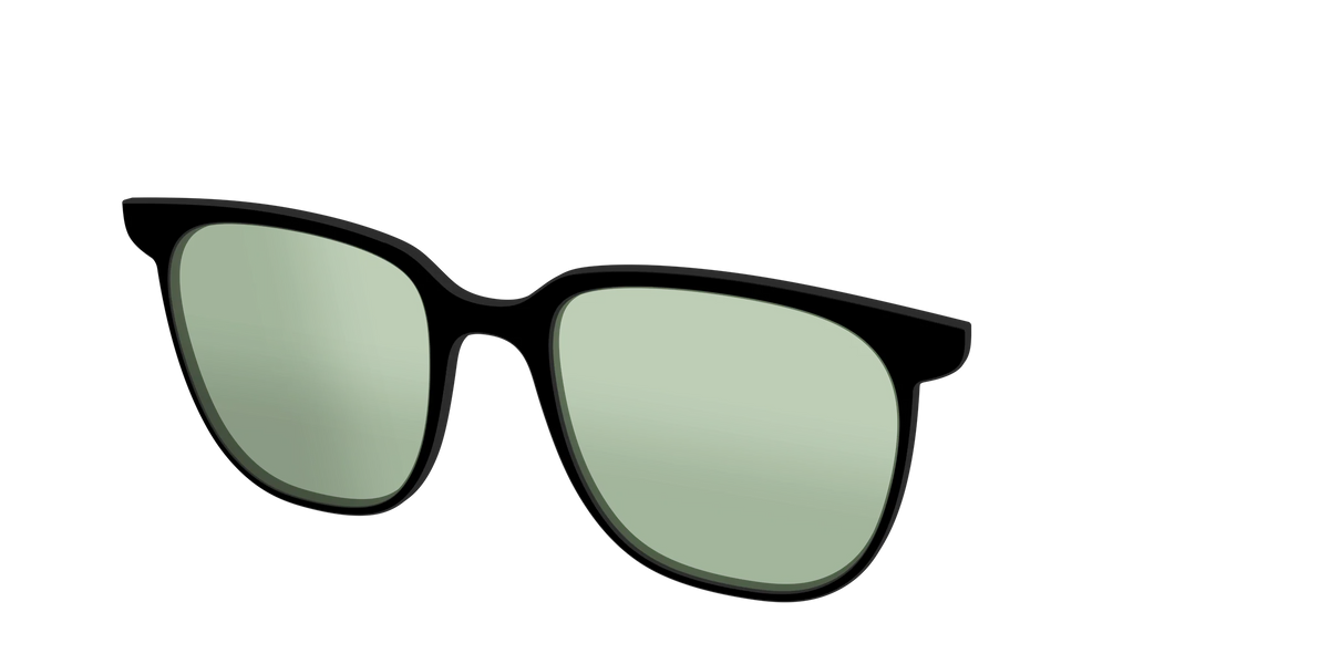 The Black With Sage Green Lens