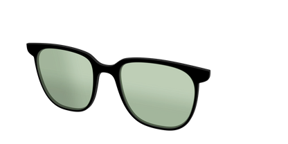 The Black With Sage Green Lens