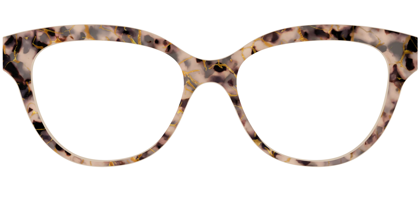 The Almond Tortoise with Gold Streaks