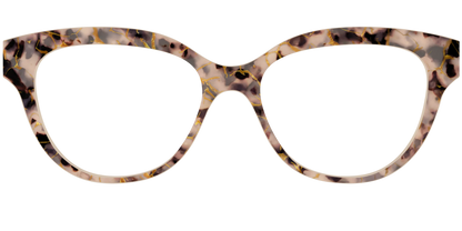 The Almond Tortoise with Gold Streaks