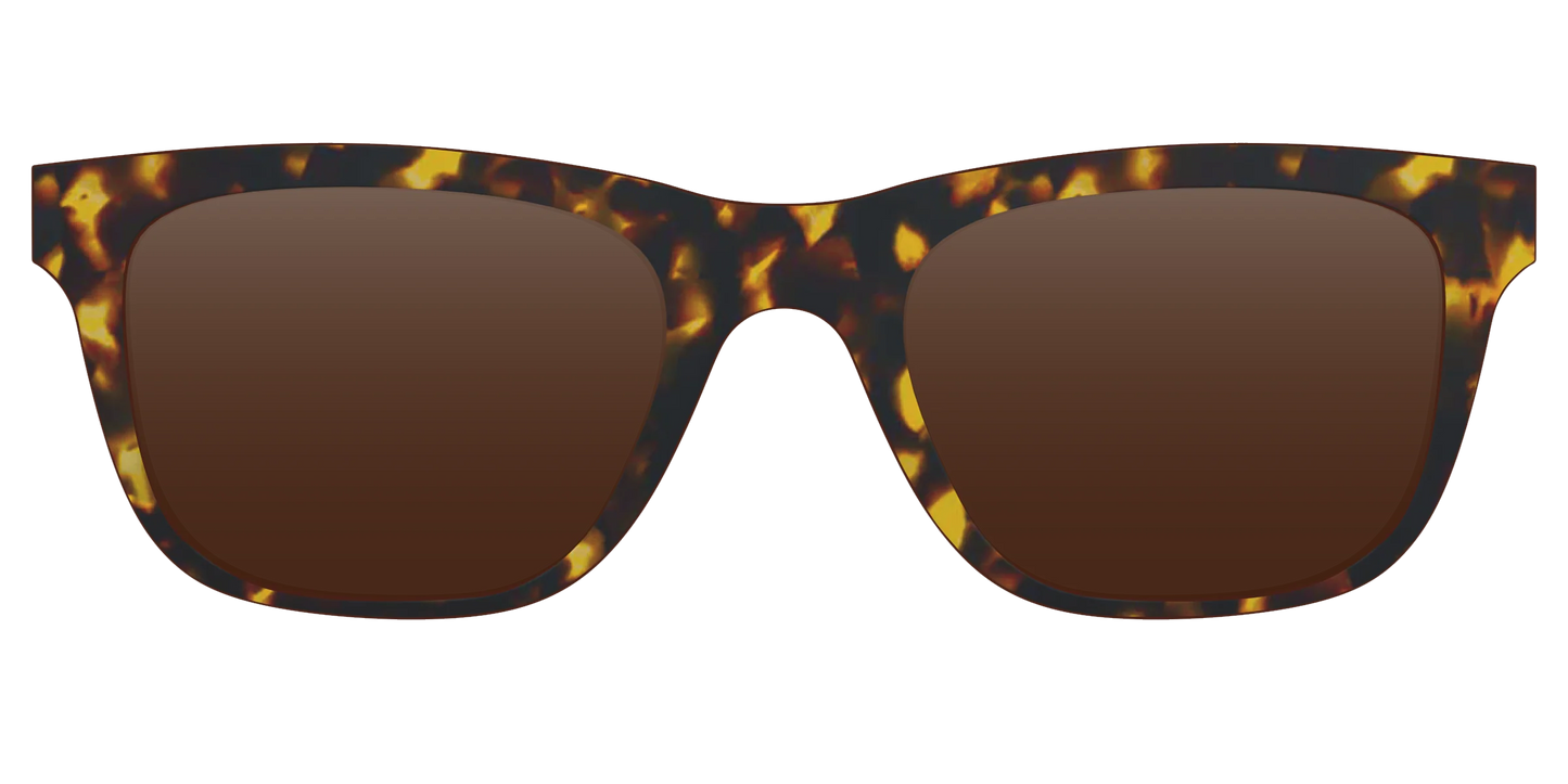 The Polarized Tortoise Sun Top