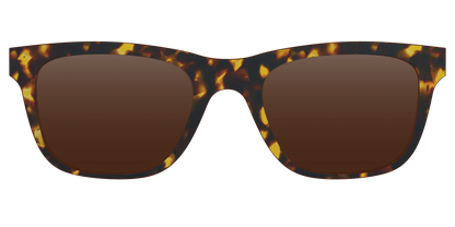 The Polarized Tortoise Sun Top