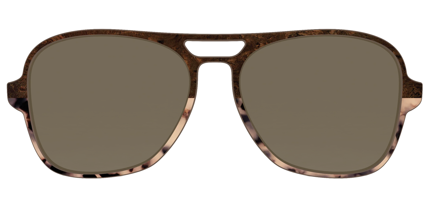 The Polarized Dark Oak Tortoise Split Sun Top