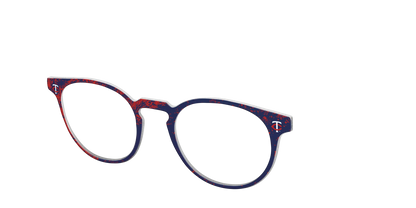 The Twins Home Run