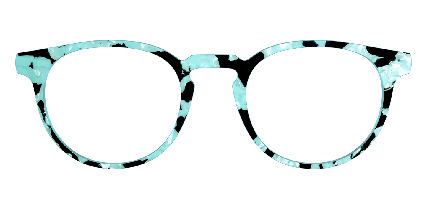 The Robin's Egg Pearl Tortoise