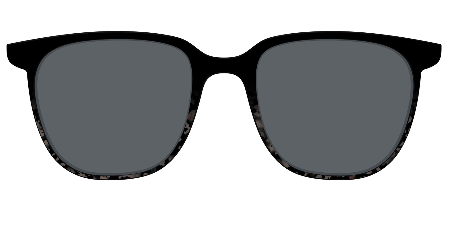 The Polarized Shaded Tortoise Sun Top