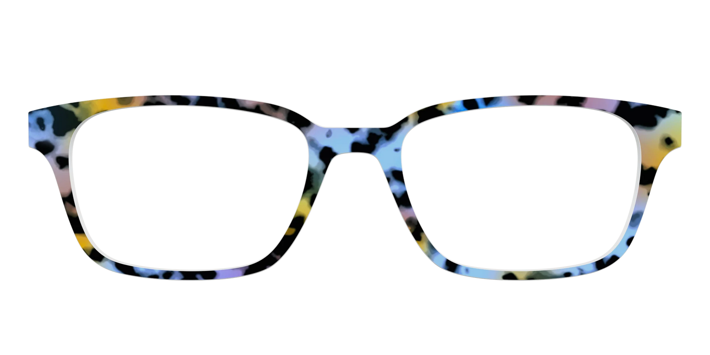 The Positano Tortoise