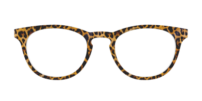 The Cheetah Spots