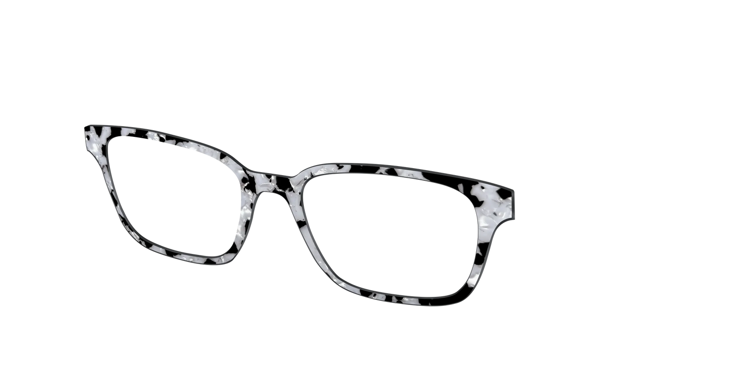 The Black & White Pearl Tortoise