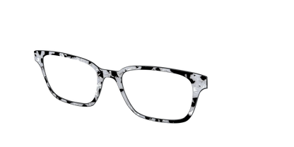 The Black & White Pearl Tortoise