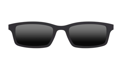 The Polarized Black Sun Top