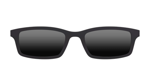 The Polarized Black Sun Top