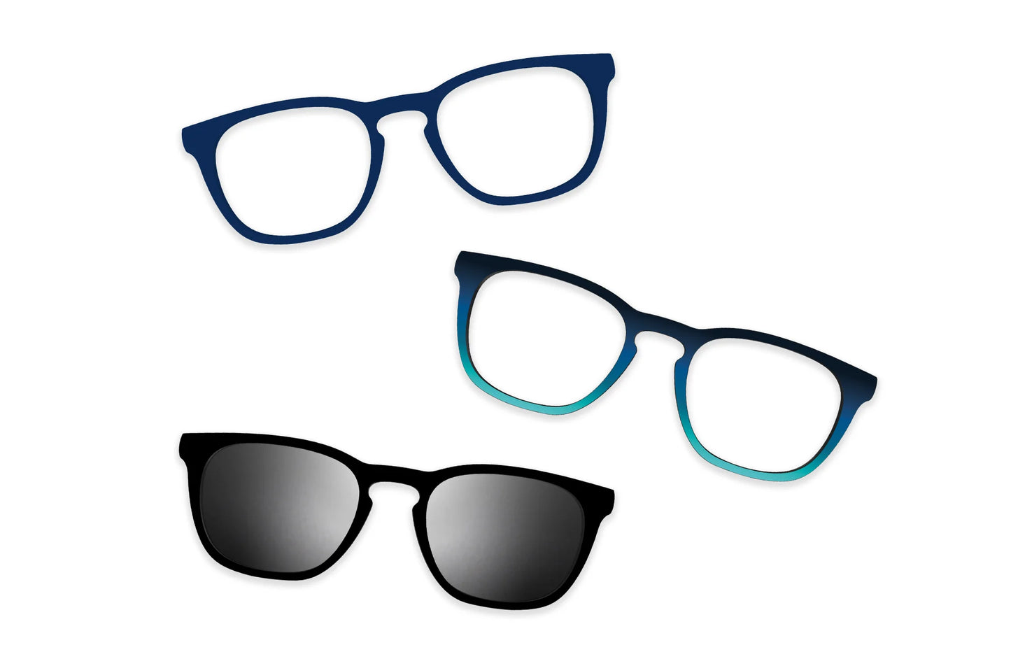 Blue Tortoise - Set