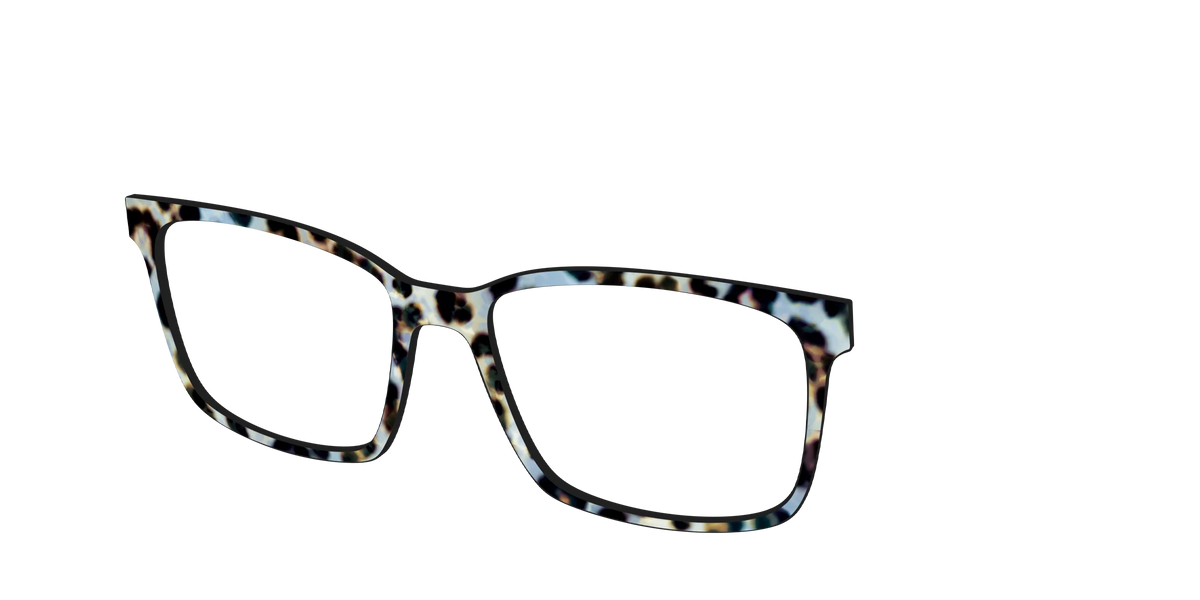 The Earl Grey Tortoise