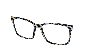 The Earl Grey Tortoise