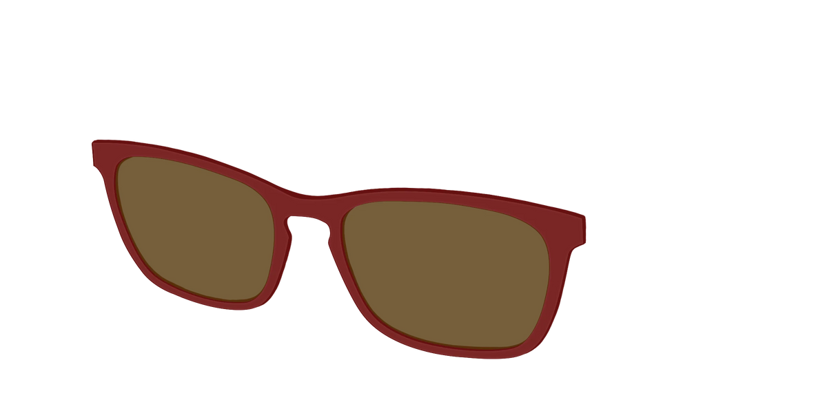 The Polarized Burgundy Sun Top