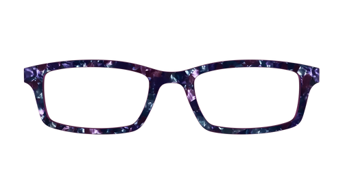 The Black Opal Pearl Tortoise