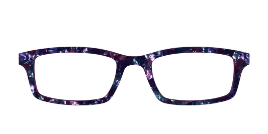 The Black Opal Pearl Tortoise