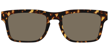 The Non-Polarized Tortoise Sun Top