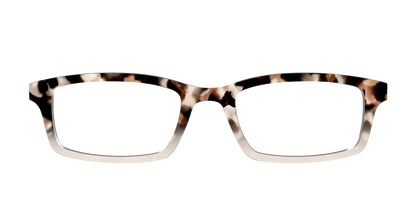 The Vanilla Latte Tortoise