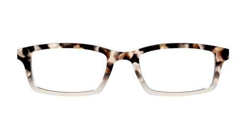 The Vanilla Latte Tortoise
