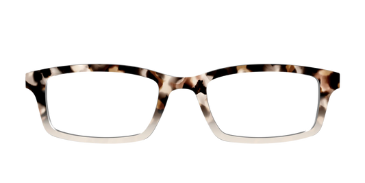 The Vanilla Latte Tortoise